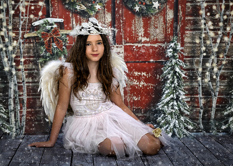 AV2A8645-B-xmas2-WEB